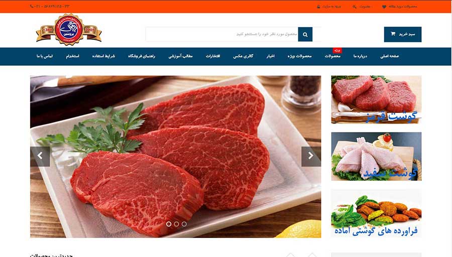 طراحی وب سایت