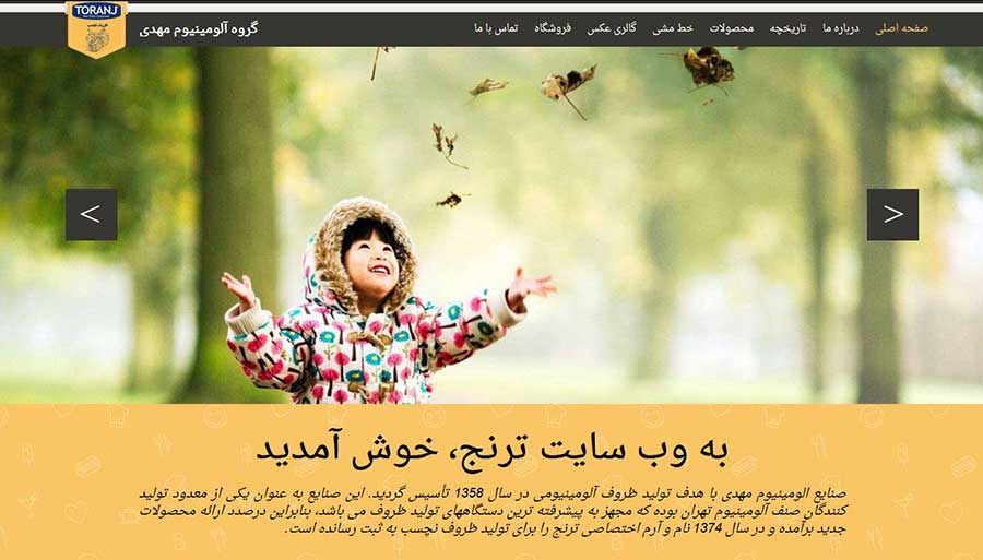 طراحی وب سایت