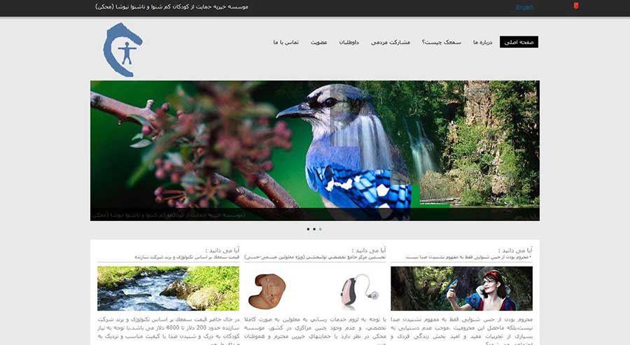 طراحی وب سایت